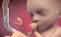 1642386530634381.gif 6.gif