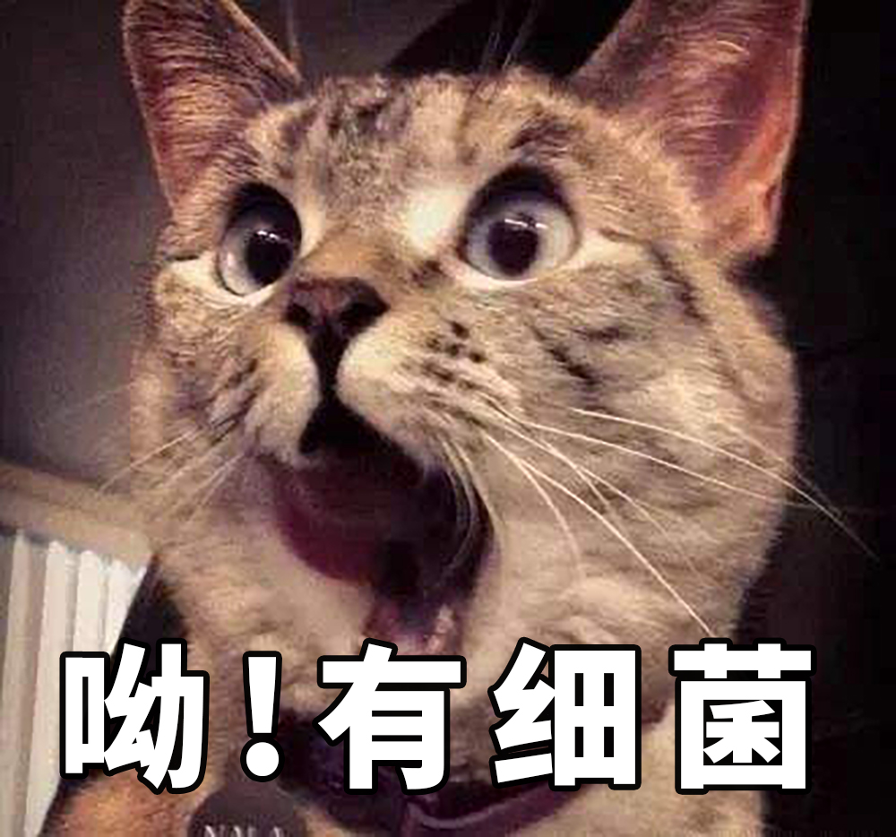 1642386775366506.jpg 1642386775366506.jpg