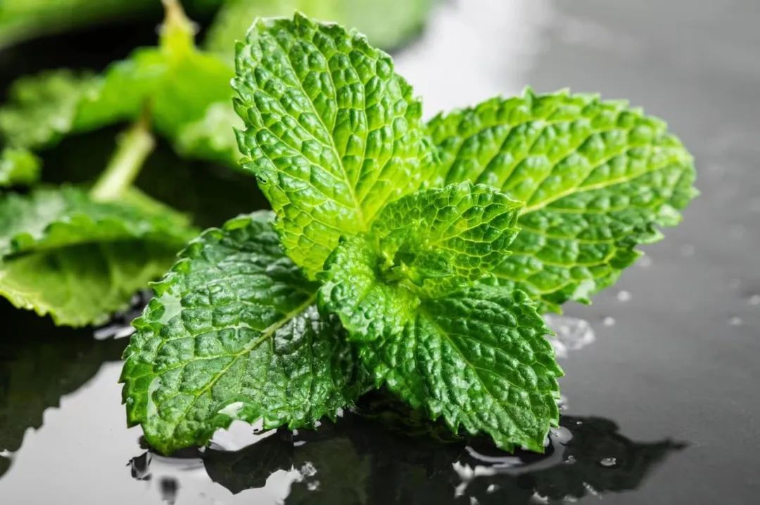 1653271714921870.jpg 1653271714921870.jpg